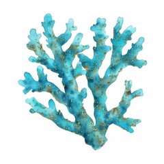 Turquoise coral reef turquoise water invertebrate.