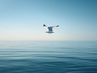 Obraz premium Seagull Flying Over Sea