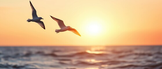 Fototapeta premium Two seagulls flying over the ocean at sunset. the sky is a beautiful orange and yellow color, with the sun partially visible in the top right corner.