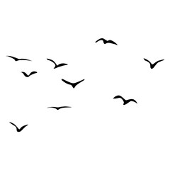 Set of black bird silhouettes—vector elements for design.