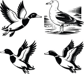 albatross line art silhouette vector illustration Albatross line arts with white background . California bird silhouette vector illustration Albatross line art vector illustration albatross line art
 