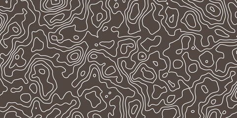 Abstract modern difficult soft brown and white topographic wavy stylized map doted line contour topography terrain path concept stroke vector illustration topo background. 