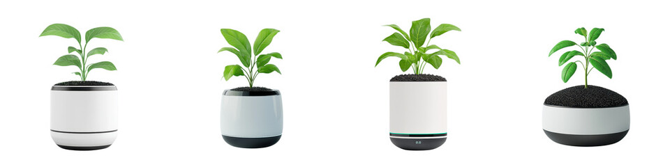Collection of modern minimalist indoor plants in contemporary smart home pots