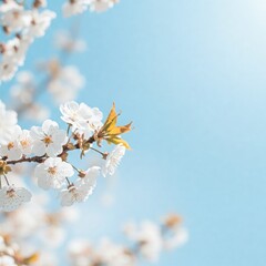 Spring flower 