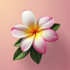 Fototapeta premium frangipani flower illustration with green leafs and pink background 