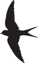 Fototapeta premium Bird in Flight Silhouette on White Background