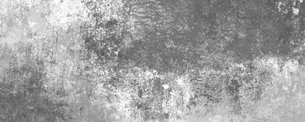 Obraz premium The Subtle Beauty of a Monochrome, Aged, and Scratched Surface with Natural Variations