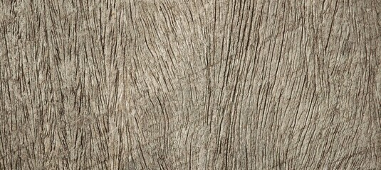 texture of a wood