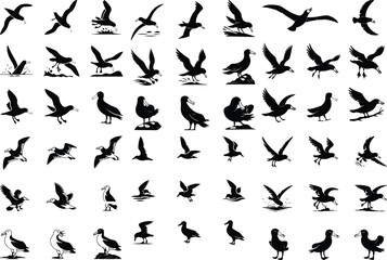 Seagulls Silhouette set consistent albatross black color silhouette vector Set of silhouettes of seagulls in flight. Set of Albatross Birds Silhouette