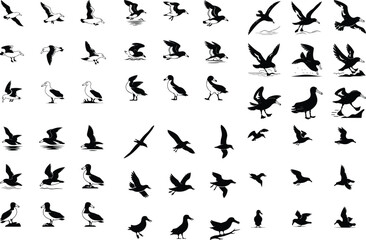 Seagulls Silhouette set consistent albatross black color silhouette vector Set of silhouettes of seagulls in flight. Set of Albatross Birds Silhouette