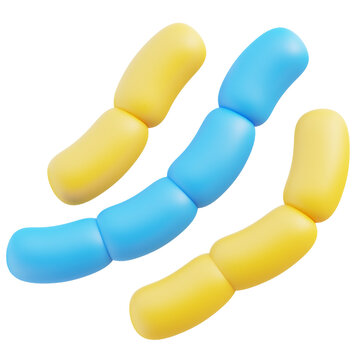 Streptobacillus Moniliformis 3D Illustration