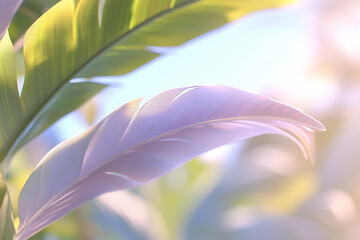 Beautiful retro wave sunset with pink and purple gradients illuminating tropical foliage at dusk