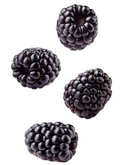 blackberries