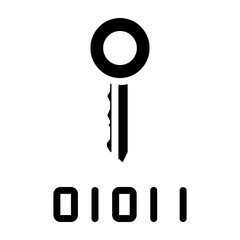 Encryption Key Vector Glyph Icon Design