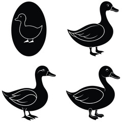 Duck Vector Shilhouette Bundle set Collection