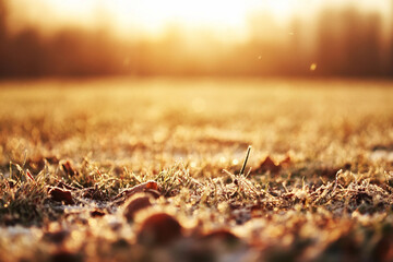Frosty ground at sunrise creates a serene atmosphere for morning activities in active leisure sports