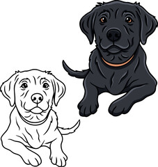 Fototapeta premium Labrador retriever vector