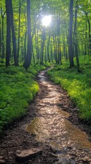 Sunlit forest path with a stream. Lush green foliage and a winding trail