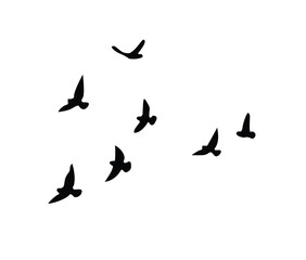 Flying Birds Silhouette Vector – Flock of Abstract Birds for Wall Decor, Logos & Nature-Themed Designs – Black & White Clipart – Editable AI