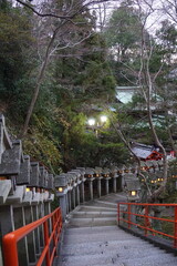 Many stone lanterns line the approach to a Japanese temple
