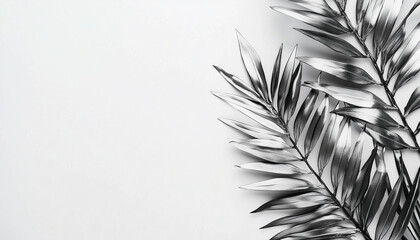 Silver metallic palm tree leaves on a white background, copy space