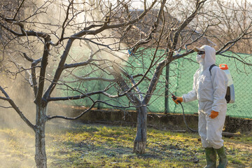 Woman spraying fungicides on a flowering fruit tree against plant and pest diseases. Used...