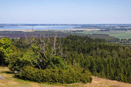 Aussicht Hj&auml;ssatorget - Omberg in Schweden 2