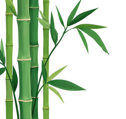 Lush green bamboo stalks reaching towards sunlight, a vibrant display of nature's resilience and tranquility with a painterly, textured style.