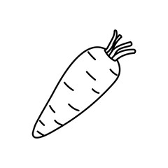 Carrot drawn in simple black and white line art style illustrating a fresh vegetable