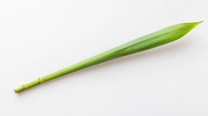 Single, vibrant green leaf on white background