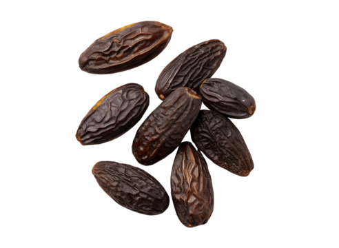 Tonka beans PNG cutout, isolated on a white background, transparent high-quality image, detailed close-up of aromatic spice seeds