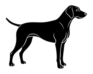 Pointer Dog silhouette vector illustration