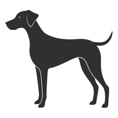 Pointer Dog silhouette vector illustration