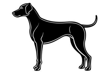 Pointer Dog silhouette vector illustration