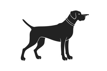Pointer Dog silhouette vector illustration