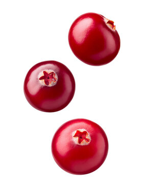 Three fresh cranberries falling on transparent background
