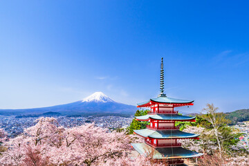 春の新倉山浅間公園　富士山、五重塔、満開の桜【山梨県・富士吉田市】　
Mt. Fuji and the five storied pagoda seen from Arakurayama Sengen Park where the cherry blossoms are in full bloom - Yamanashi, Japan