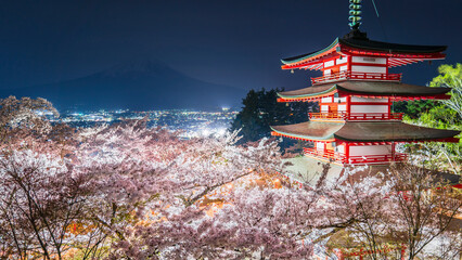 春の新倉山浅間公園の夜景　ライトアップされた桜と忠霊塔【山梨県・富士吉田市】　
The night view of Arakurayama Sengen Park in spring, featuring illuminated cherry blossoms and the Chureito Pagoda. - Yamanashi, Japan