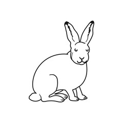 Vector Outline Illustration of Polar Hare Isolated on White Background