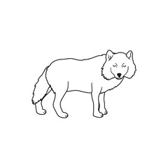 Vector Outline Illustration of Polar Wolf Isolated on White Background