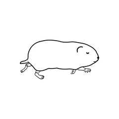 Vector Outline Illustration of Lemming Isolated on White Background