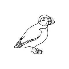 Vector Outline Illustration of Puffin Isolated on White Background
