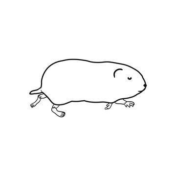 running mole outline drawing clip art preview