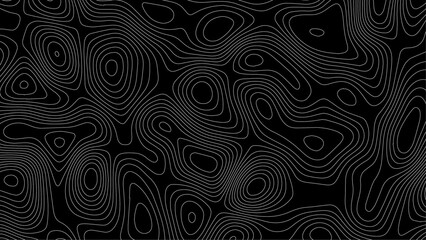 Fototapeta premium Topography background. Vector banner. Topography background. Vector geographic contour map. Topographic map background geographic line map with elevation assignments. 