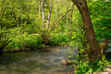 Exploring the landscapes and forests in the Dovedale valley in the Peak District of England.