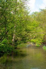 Exploring the landscapes and forests in the Dovedale valley in the Peak District of England.
