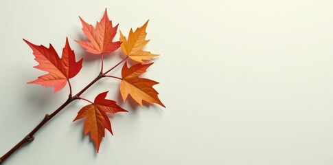 Fototapeta premium Brown branch on a light-colored background with some shadows, nature, branches, wooden