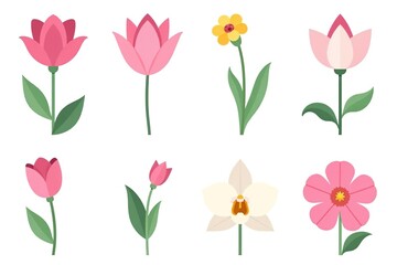 Set of flat icons featuring various garden flowers like rose, tulip, orchid, and Espatifilo isolated on white background,  orchid,  Espatifilo