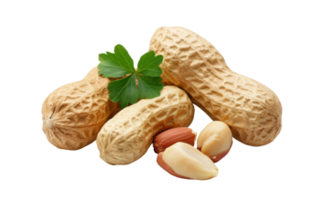 Group of whole and shelled peanuts with leaf on white background, cut out