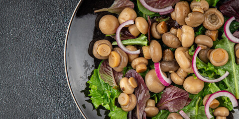 Champignon salad green lettuce canned mushrooms fresh delicious gourmet food background on the table rustic food top view copy space keto and paleo diet vegetarian and vegan food